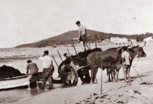 A vida xunto o mar. Onte e hoxe.