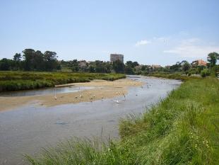 Río Lagares ao seu paso por Vigo